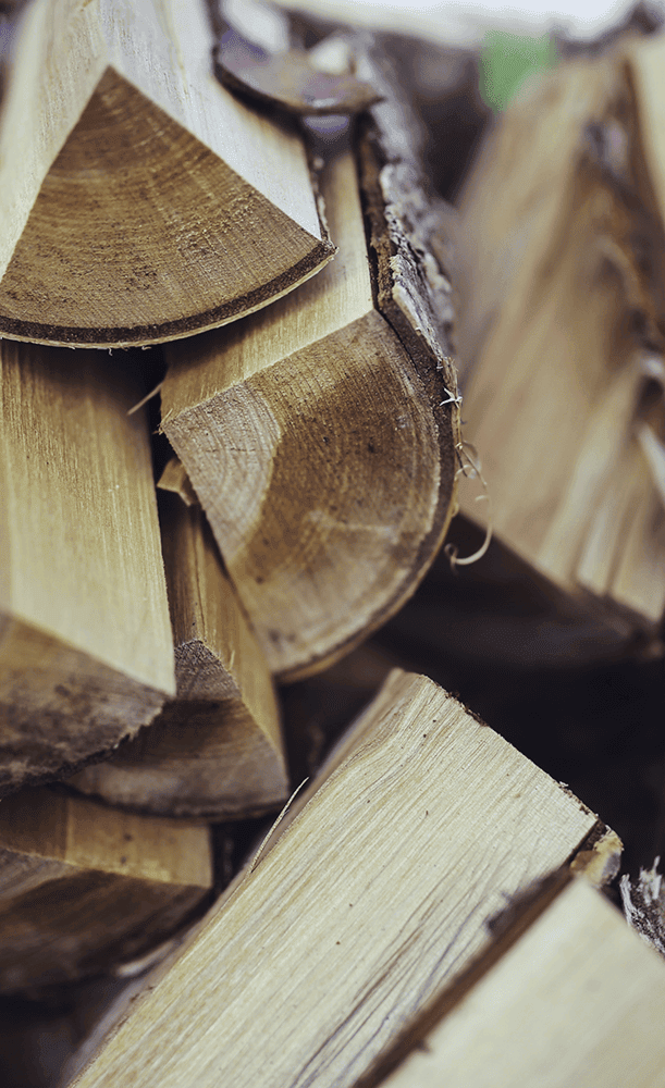 Crianças brincando em uma casinha de madeira ao ar livre